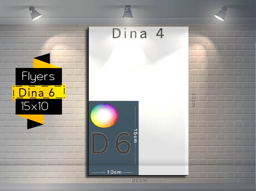 Dina 6