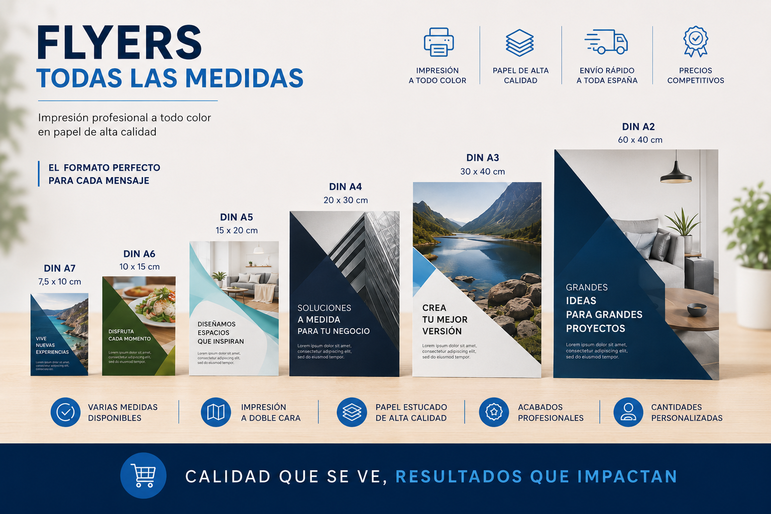 Flyers todas las medidas
